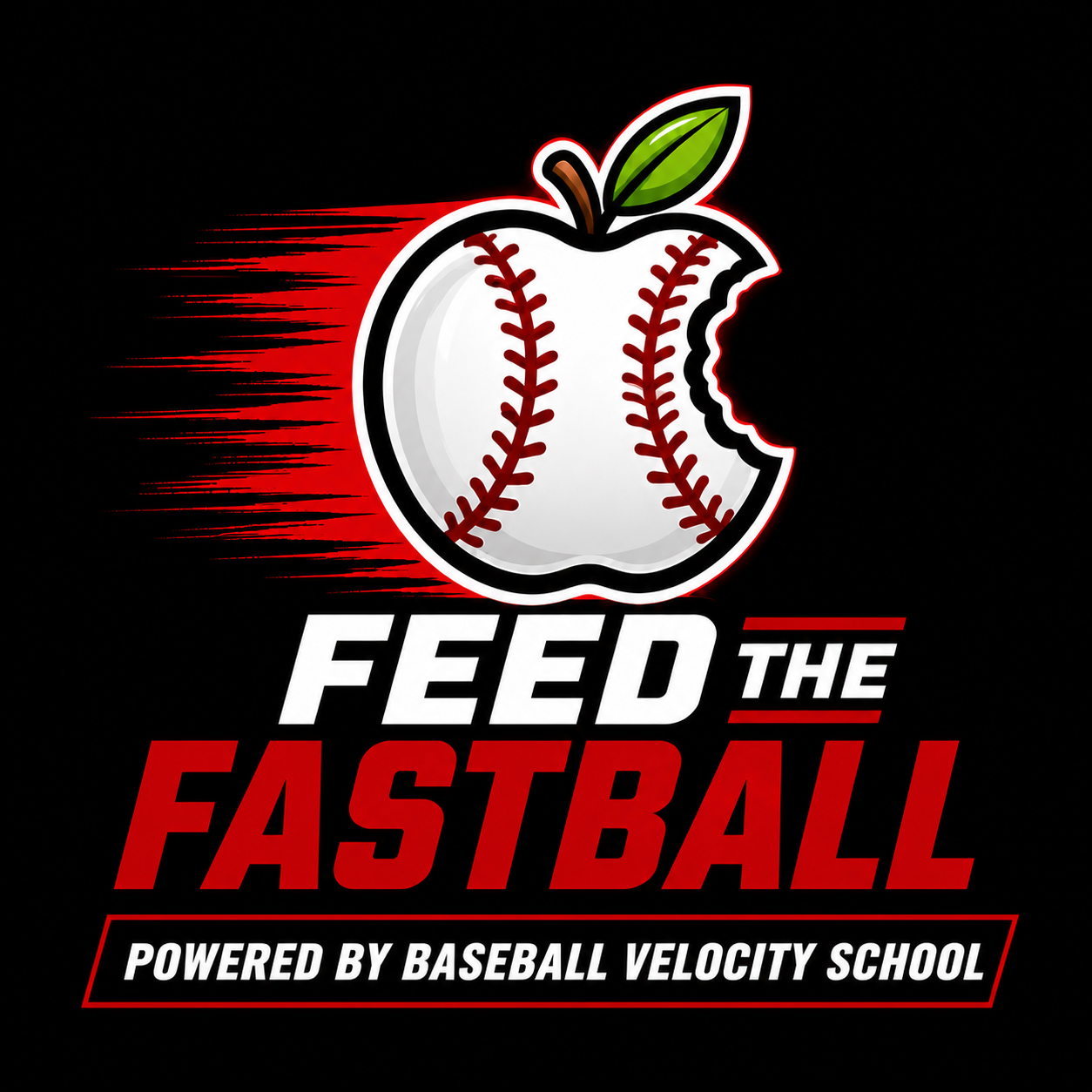 Feed The Fastball, Powered by Baseball Velocity School